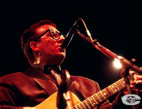 Elvis Costello LIVE 1986 - CuffaroPhoto