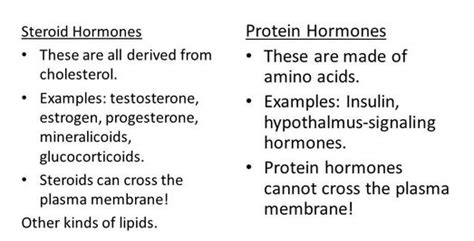 D5: Hormones and Metabolism (HL) - AMAZING WORLD OF SCIENCE WITH MR. GREEN