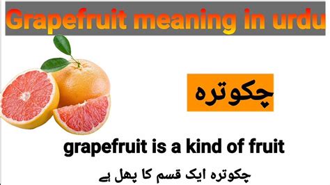 Grapefruit Health Benefits Urdu Hindi- Chakotra Ke Fayde-, 54% OFF