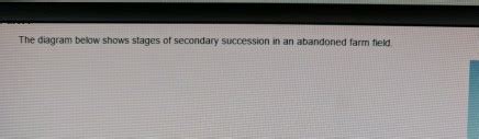 Solved The diagram below shows stages of secondary | Chegg.com