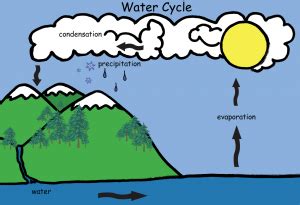 Simple Water Cycle Drawing at PaintingValley.com | Explore collection ...