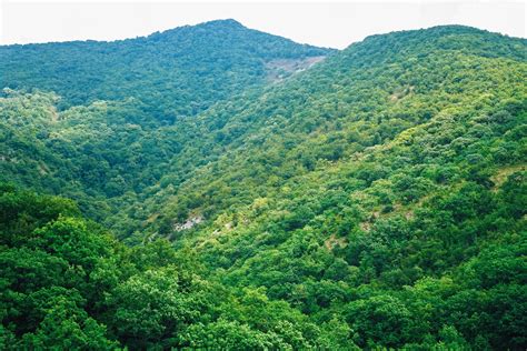 Free photo: Lush Green Mountains - Green, Landscape, Lush - Free ...