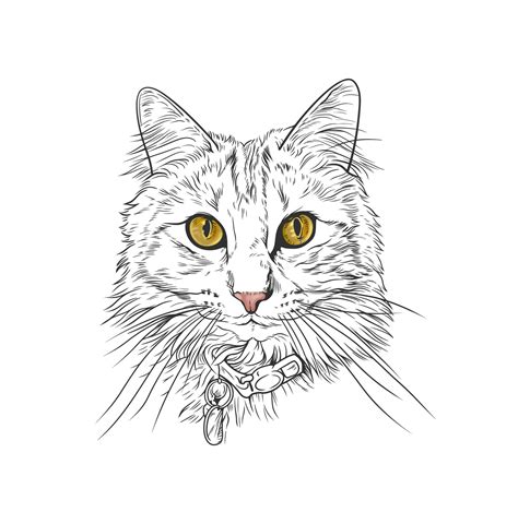 Cute cat head vector line art illustration 10269033 Vector Art at Vecteezy