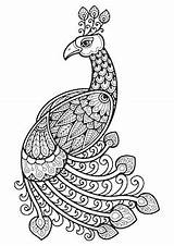 Premium Vector  Mandala For coloring Page peacock feather Design sketch template