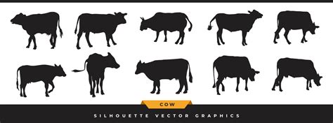 Cow silhouette collection. Big set of livestock, cattle silhouette ...