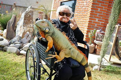 This iguana. I didn't know they were this big. : r/AbsoluteUnits