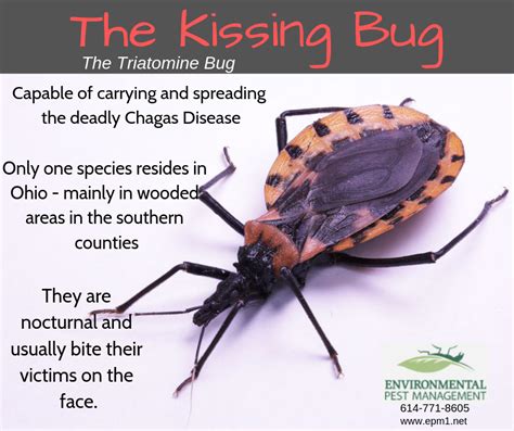 Kissing bugs in Ohio - Do we really need to worry?