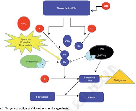 [PDF] Pharmacology of new oral anticoagulants: mechanism of action ...