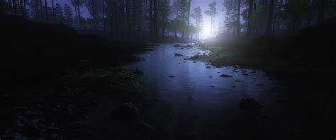 Dark Forest Wallpaper 4K, Water Stream, Trees, Landscape