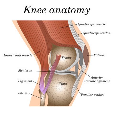 Where or Where Has My Patella Gone? | Direct Orthopedic Care