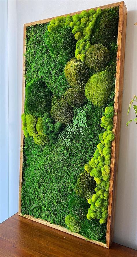 Moss wall art preserved moss nature art moss wall etsy – Artofit