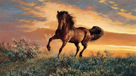 Wild Horses Wallpapers - Top Free Wild Horses Backgrounds - WallpaperAccess