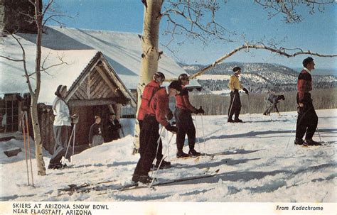 Flagstaff Arizona Snow Bowl Skiers Vintage Postcard (J33935) - Mary L. Martin Ltd. Postcards