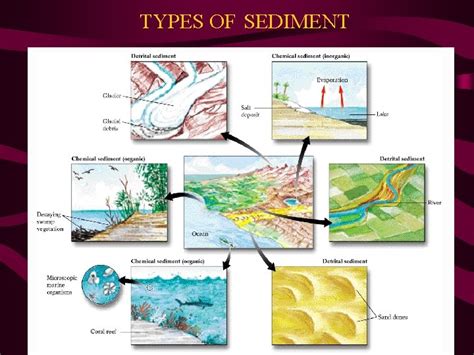 Chapter Six Sediments Sedimentary Rocks Sediment Sediment loose