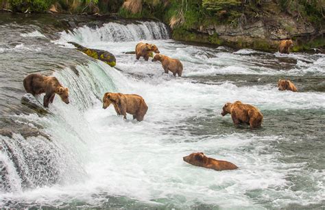 Katmai National Park & Preserve, Alaska | Travel Alaska