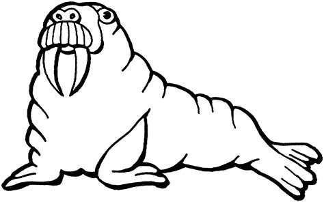 Walrus clipart 15 - WikiClipArt