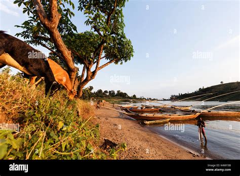 Fishing boats, Lake Kivu, Gisenyi, Rwanda, Africa Stock Photo - Alamy