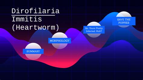 Dirofilaria Immitis by Tori Simmons