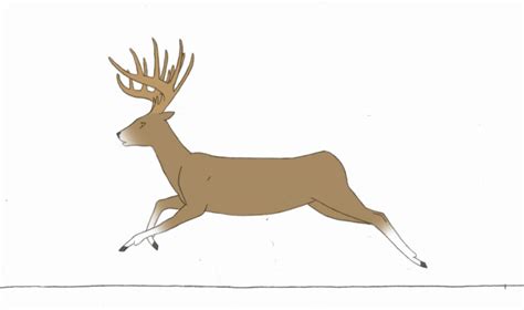 Running Gif, Deer Running, Deer Art, Moose Art, How To Do Animation, Deer Drawing, Pencil Test ...