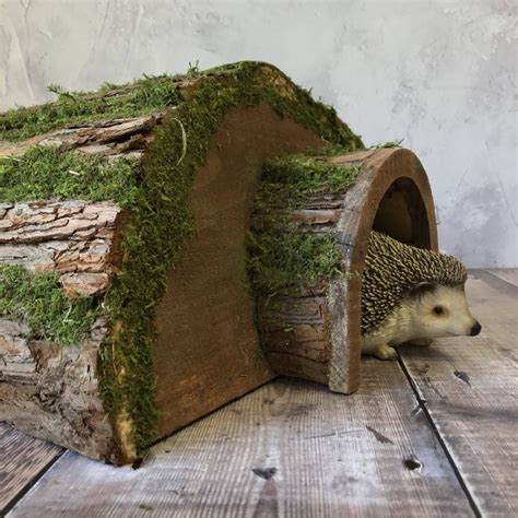 Diy Hedgehog House, Hedgehog Cage, Hedgehog Pet, Love Birds Nest, Bird Nest, Hedgehog Habitat ...