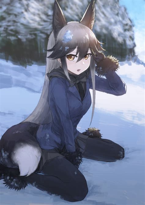 Silver Fox in the Snow [Kemono Friends] : r/kemonomimi