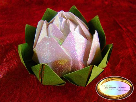 Origami Maniacs: Beautiful Origami Lotus Flower