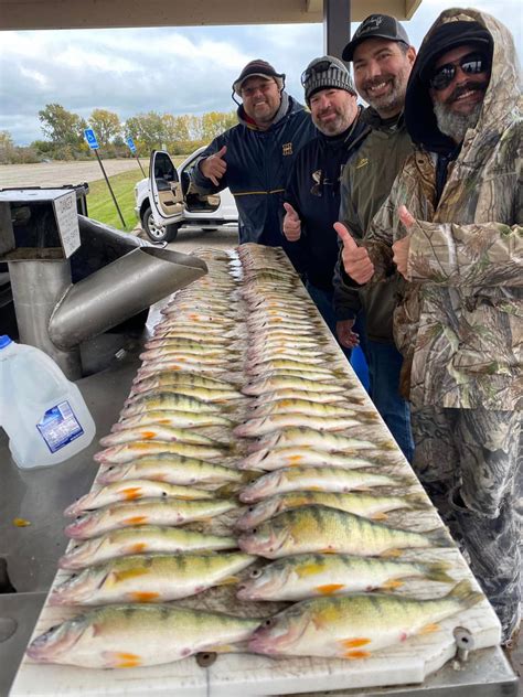 10-16-23 Lake Erie Perch Fishing Report – Fishing Addiction Gear