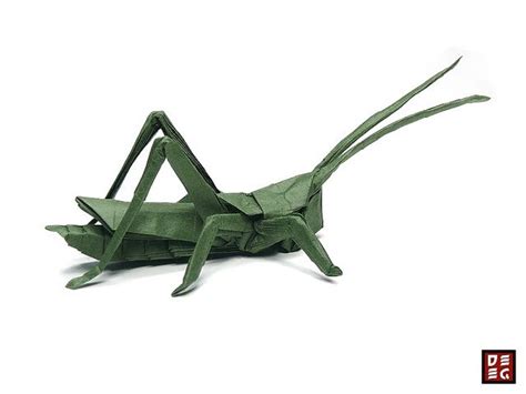 Origami Grasshopper | Origami grasshopper, Origami, Grasshopper