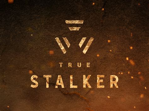 True Stalker mod for S.T.A.L.K.E.R.: Call of Pripyat - Mod DB