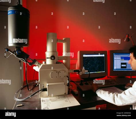 Analysis of gunshot residue (GSR). Forensic scientist using a scanning ...