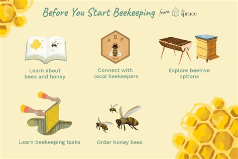 A Beginner's Guide to Beekeeping