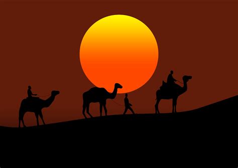 camellos en el Desierto a atardecer, vector ilustración. 20470802 ...