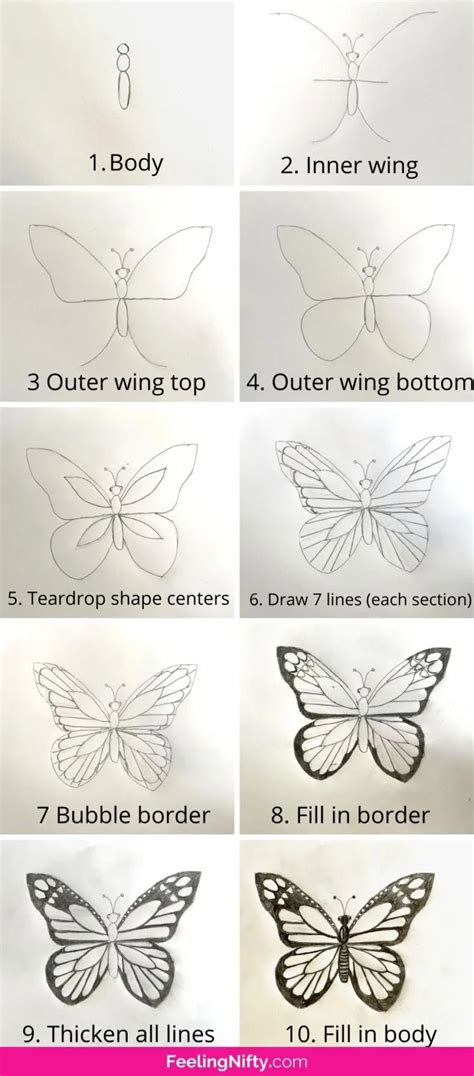 Aggregate 142+ butterfly pictures to draw latest - seven.edu.vn