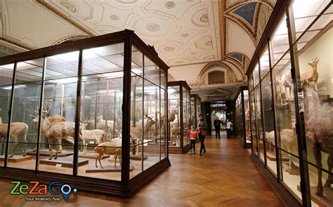 Natural History Museum Vienna - Naturhistorisches Museum