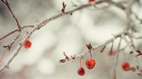 Warm Winter Wallpaper (60+ images)