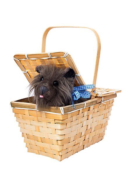 Wizard Of Oz Toto In Basket