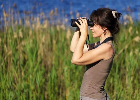 14 Best Binoculars Under $100: Birders Guide (Top Picks, Budget ...