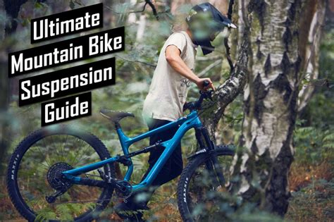 Complete Mountain Bike Suspension Guide: Basic Terms and Setup