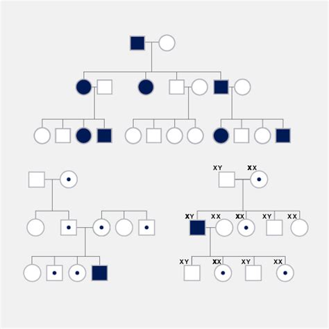 Mendelian Inheritance