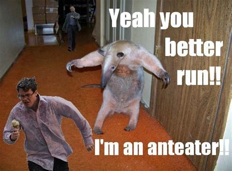 [Image - 108571] | I'm an Anteater!!! | Know Your Meme