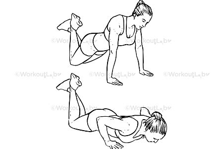 Modified / Knee Push-ups / Pushups – WorkoutLabs Exercise Guide