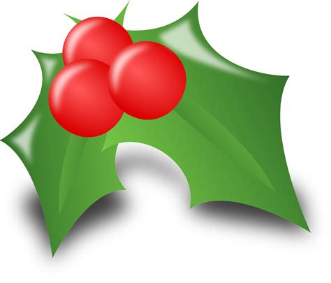 Immagine gratis su Pixabay - Agrifoglio, Ilex, Fogliame, Spinoso | Decorazioni di natale ...