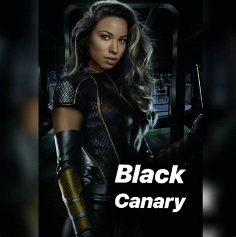 Birds of Prey | Birds of prey, Black canary, Birds