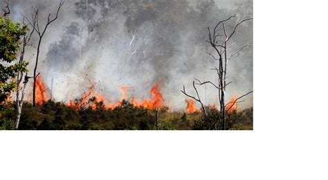 Indonesia’s Forest Fires – What You Need to Know