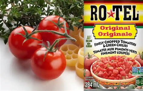 9 Easily Available Substitute For Rotel Tomatoes