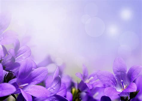 Purple Floral Backgrounds For Photoshop