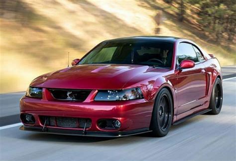 Cobra 🐍 | Mustang cobra, 2004 ford mustang, Mustang cars