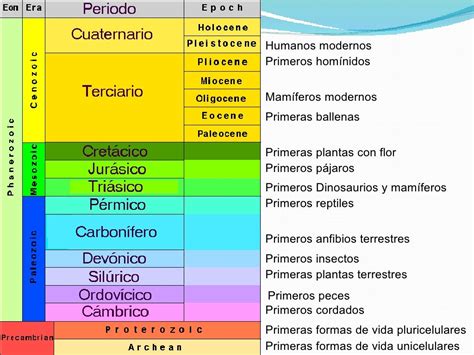 Eras geologicas