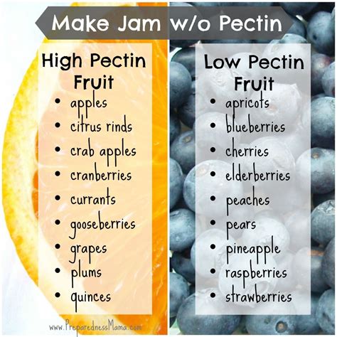 How We Preserve Foods: Make Jam Without Pectin | Canning food preservation, Canning jam ...