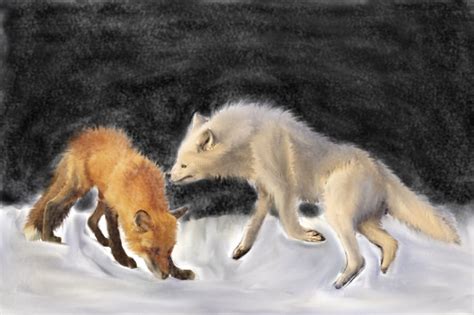 The Fox vs The Wolf: Round 3 by rko509 on DeviantArt